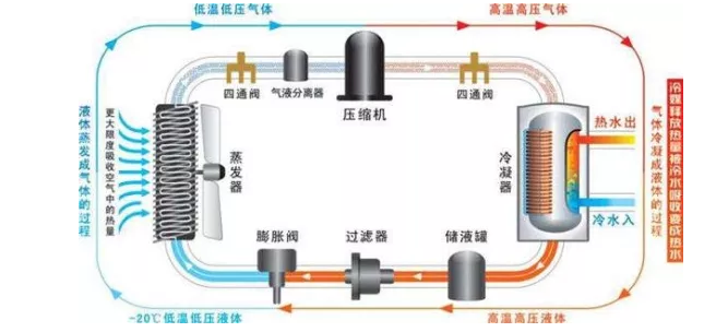 哈尔滨草莓视频在线观看下载